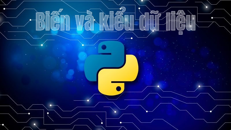 Bài 2: Biến và kiểu dữ liệu trong Python